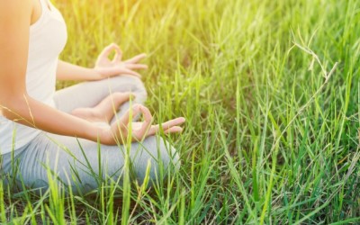 A questão é: MEDITAR todos os dias PARA QUÊ?