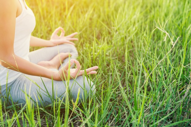 A questão é: MEDITAR todos os dias PARA QUÊ?