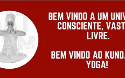 MANUAL DO ALUNO – Faça o download