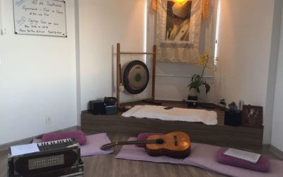 Celebrando a Consciência: 40º dia de Sadhana