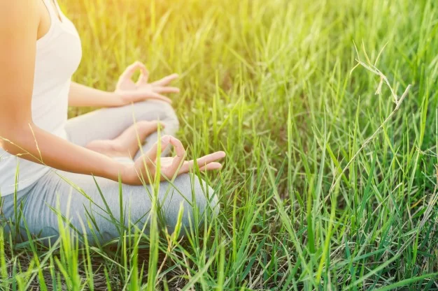 A questão é: MEDITAR todos os dias PARA QUÊ?